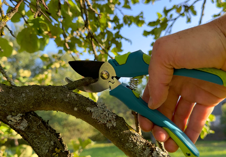 Hedging-Pruning-Trimming-icon