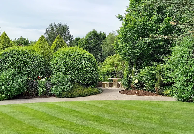 Lawn-Care-Turf-Management