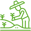 Seasonal Planting & Mulching